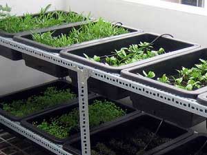 Làm giá kệ v lỗ trồng rau sạch tại TPHCM tận nhà